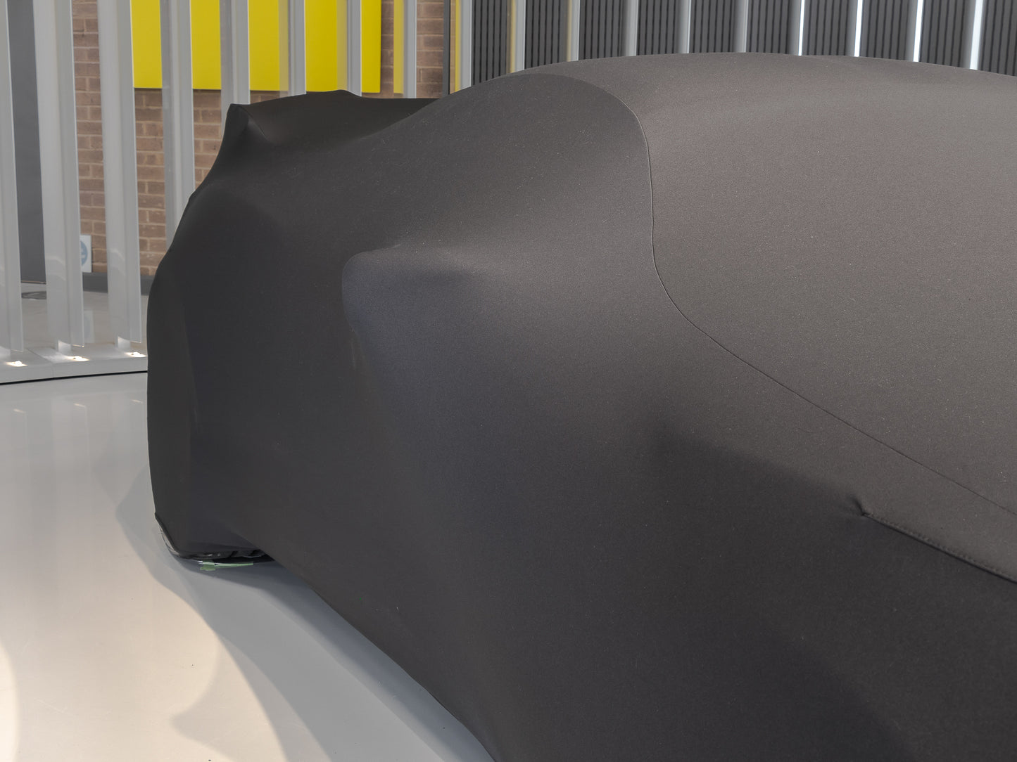 Lotus Exige Indoor Car Cover