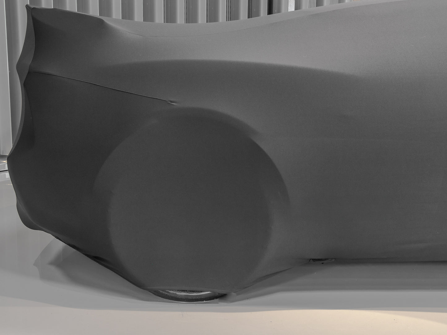 Lotus Exige Indoor Car Cover