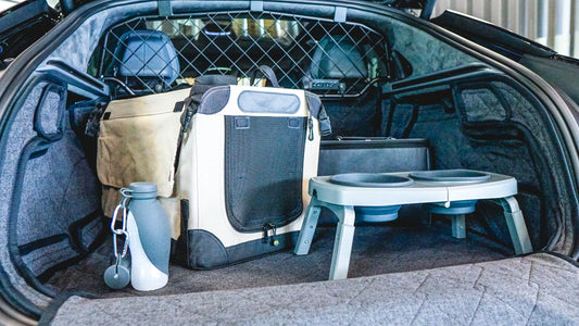 Bespoke Foldable Fabric Pet Carrier